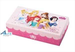日本迪士尼公主日本陶瓷兒童5件1套裝餐具禮品(日本直送&日本製造)