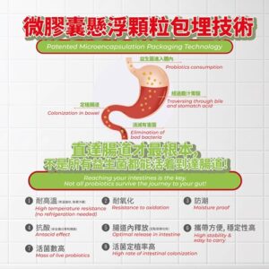DeSlim-三元合一益生菌、益生元、膳食纖維-成人版5.0(馬來西亞製造)x60盒：圖片 4