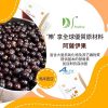 DeSilm-三元合一益生菌、益生元、膳食纖維(樂齡版)馬來西亞製造 - Image 9