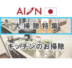 日本AION系列