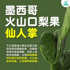 LifeGreen 仙人掌粉健康飲品全新升級版(馬來西亞直送&馬來西亞製造)x3盒 (90 SACHETS)