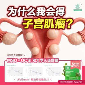 LifeGreen 仙人掌粉健康飲品全新升級版(馬來西亞直送&馬來西亞製造)x3盒 (90 SACHETS)